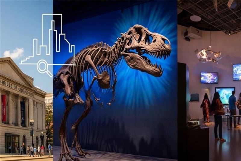 Chicago Museums & Exhibitions
